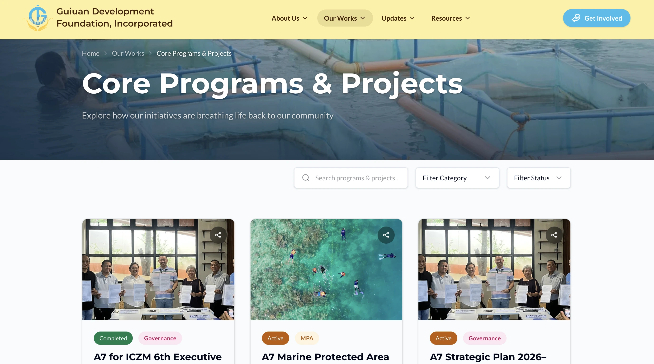 GDFI Website cover